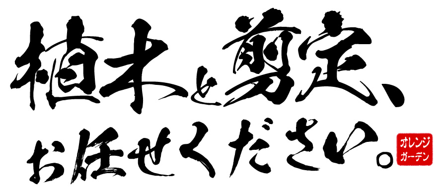 �A�؂ƙ���A���C�����������B