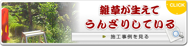 �G���������Ă��񂴂肵�Ă���